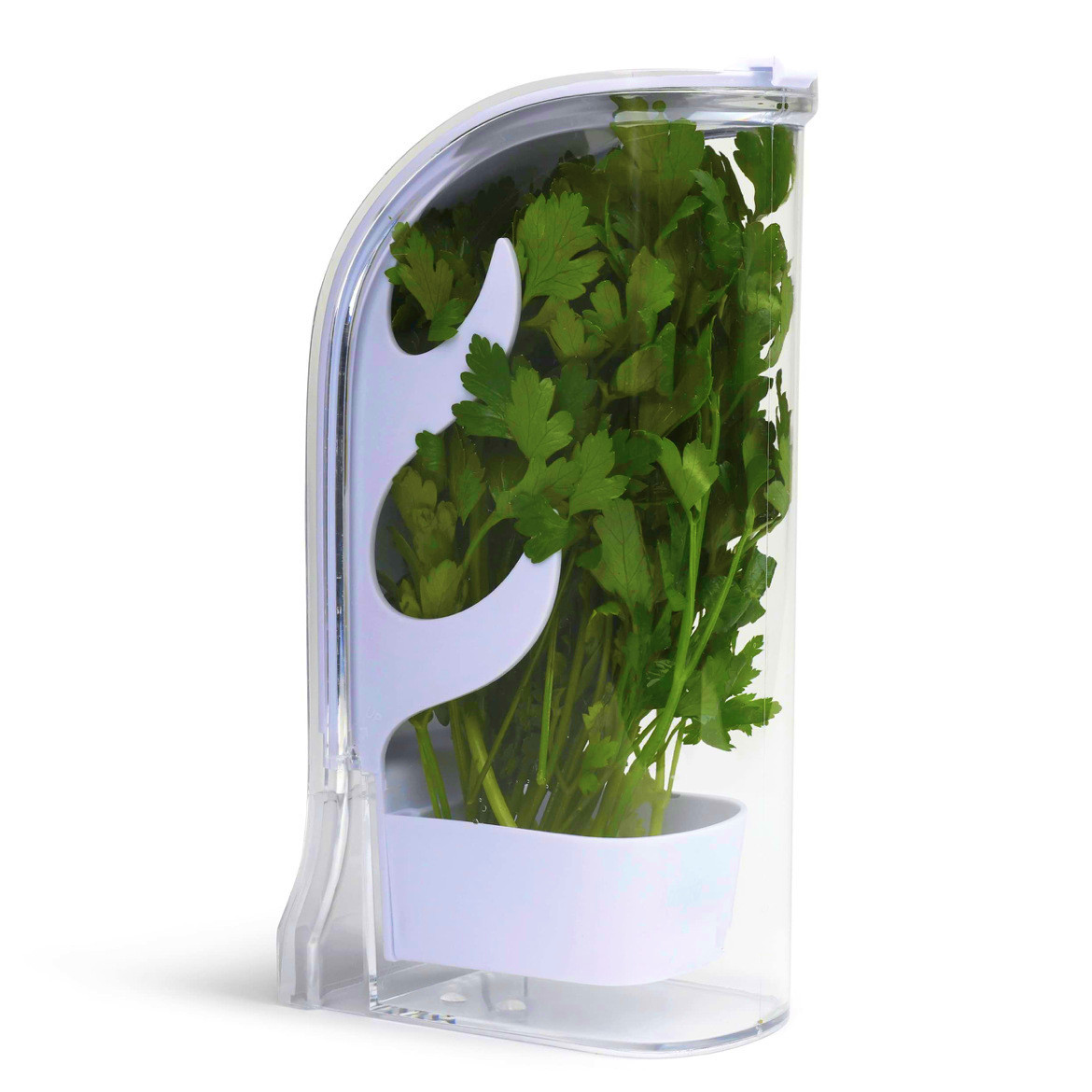 Recipiente protetor de ervas m - Kitchen Gadgets Modern avaliação e preço