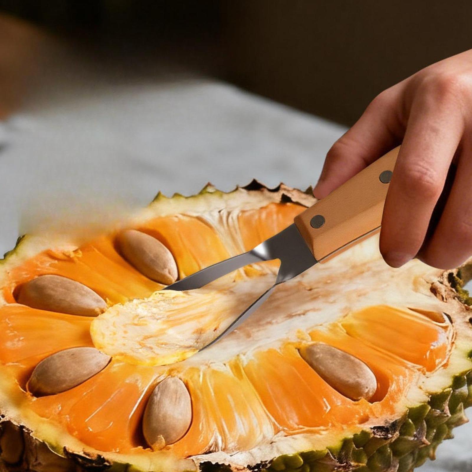 Removedor de Caroços de Jaca,  - Kitchen Gadgets Store avaliação e preço