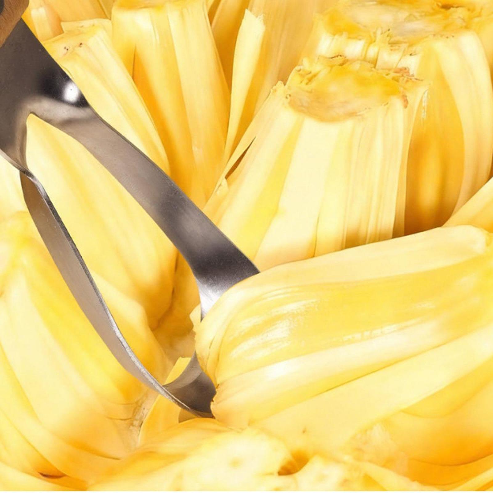Removedor de Caroços de Jaca,  - Kitchen Gadgets Store avaliação e preço