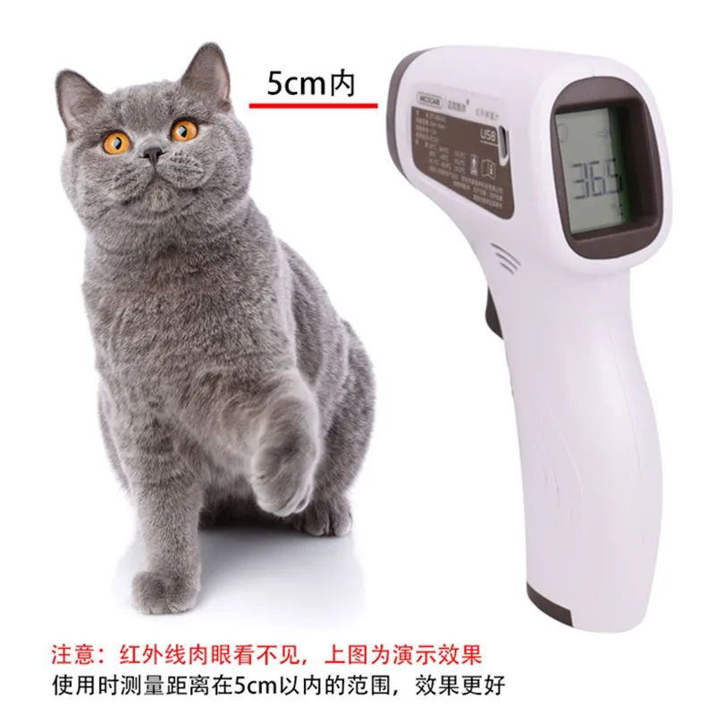 Termômetro equipamento veterin - Instant Read Thermometer avaliação e preço